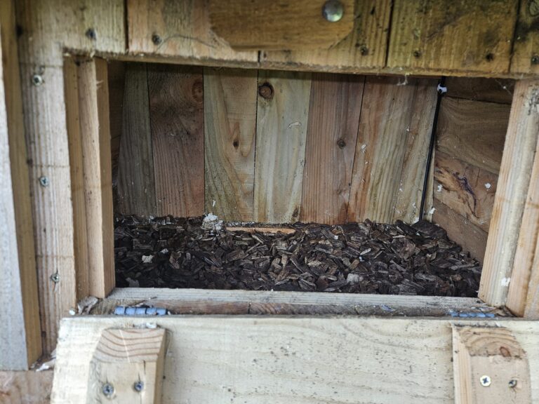 Owlbox Maintainace  02.03.2026